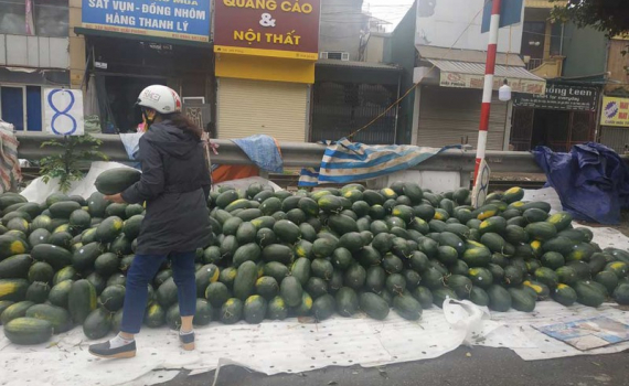 T&igrave;m c&aacute;ch &ldquo;giải cứu&rdquo; dưa hấu, thanh long giữa t&acirc;m dịch virus corona