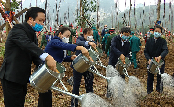 Ninh B&igrave;nh ph&aacute;t động Tết trồng c&acirc;y Xu&acirc;n T&acirc;n Sửu 2021