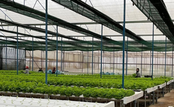 T&iacute;n hiệu t&iacute;ch cực từ sản xuất n&ocirc;ng nghiệp