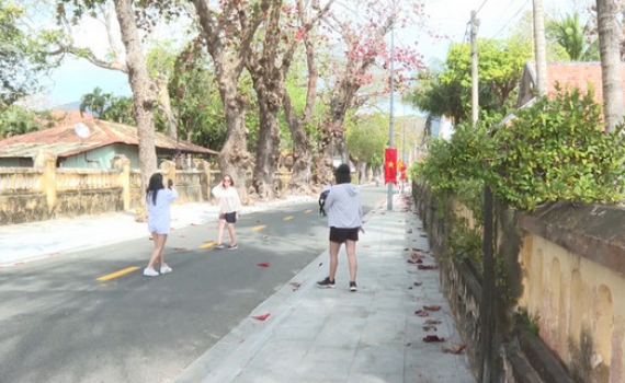 C&ocirc;n Đảo: Đẹp thơ mộng, ngỡ ng&agrave;ng m&ugrave;a b&agrave;ng thay l&aacute;