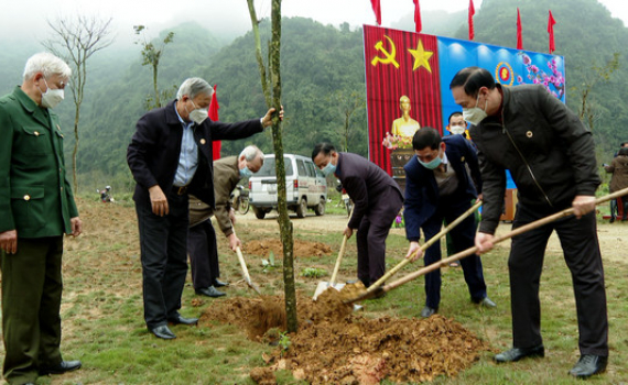 Hội Cựu chiến binh tỉnh ph&aacute;t động Tết trồng c&acirc;y