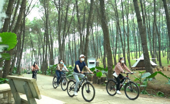 Nhiều bước tiến trong ph&aacute;t triển cơ sở lưu tr&uacute; du lịch Ninh B&igrave;nh