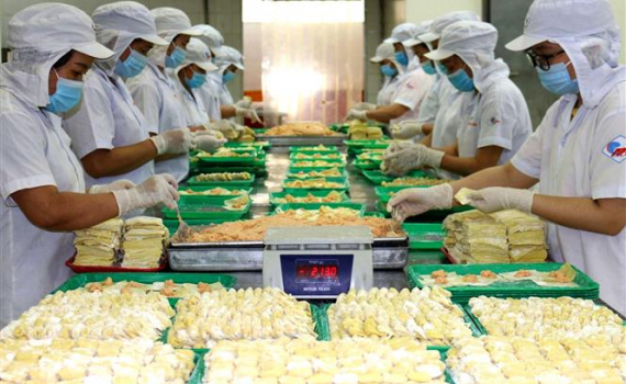Số doanh nghiệp gia nhập v&agrave; quay lại thị trường tăng 46,2% 