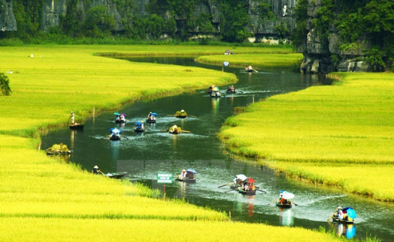 T&igrave;nh h&igrave;nh KT-XH tỉnh Ninh B&igrave;nh qua 30 năm t&aacute;i lập (phần 2): Những th&agrave;nh tựu nổi bật trong chặng đường 30 năm đổi mới v&agrave; ph&aacute;t triển (1992 - 2021)