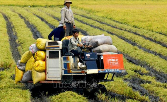 Hướng đến nền n&ocirc;ng nghiệp h&agrave;ng đầu thế giới 