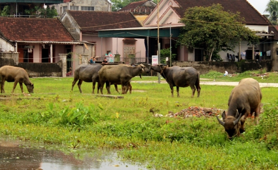Chủ động ph&ograve;ng tr&aacute;nh r&eacute;t hại, băng gi&aacute;, mưa lớn k&egrave;m lốc, s&eacute;t, mưa đ&aacute;