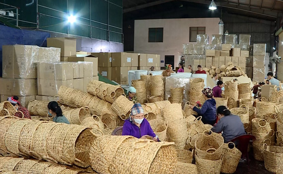 Kh&iacute; thế sản xuất tại một số doanh nghiệp ở huyện Kim Sơn