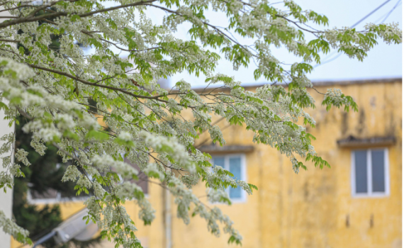 Thời tiết h&ocirc;m nay (22-2): Miền Bắc r&eacute;t về đ&ecirc;m v&agrave; s&aacute;ng, miền Nam ng&agrave;y nắng