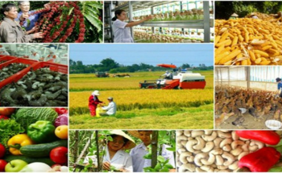 Huy động mọi nguồn lực x&atilde; hội tham gia x&acirc;y dựng n&ocirc;ng th&ocirc;n mới