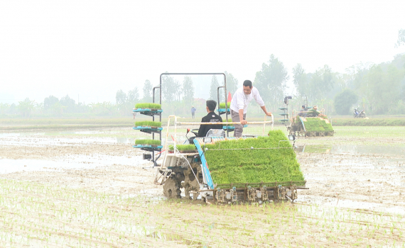 Ninh B&igrave;nh: Mở rộng m&ocirc; h&igrave;nh cơ giới h&oacute;a đồng bộ trong sản xuất l&uacute;a