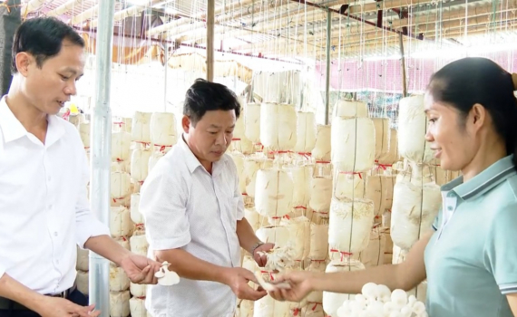 Gia Thanh th&uacute;c đẩy sản xuất, kinh doanh thực phẩm an to&agrave;n