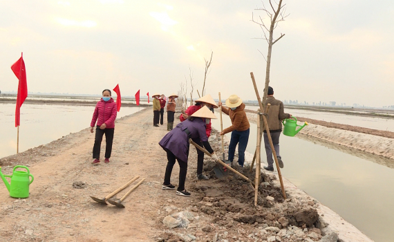 Phụ nữ Y&ecirc;n M&ocirc; ra qu&acirc;n hưởng ứng "Tết trồng c&acirc;y đời đời nhớ ơn B&aacute;c Hồ"