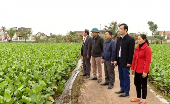 Kh&aacute;nh Thủy được cấp m&atilde; v&ugrave;ng trồng c&acirc;y dược liệu trạch tả