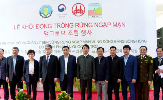 Khởi động trồng rừng ngập mặn v&ugrave;ng Đồng bằng s&ocirc;ng Hồng