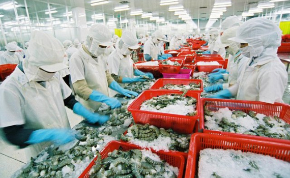 Xuất khẩu n&ocirc;ng nghiệp: Khởi sắc từ thị trường lớn