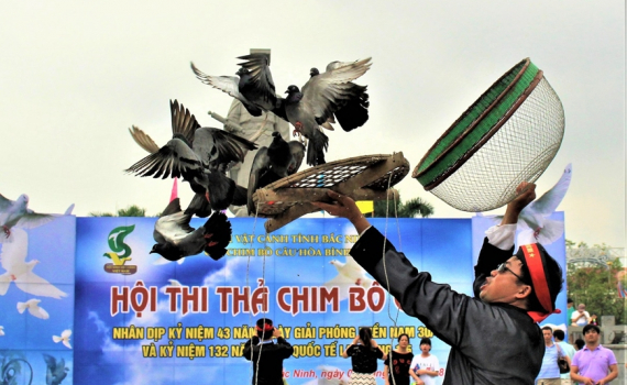 Thi thả chim bồ c&acirc;u-th&uacute; chơi thanh nh&atilde;