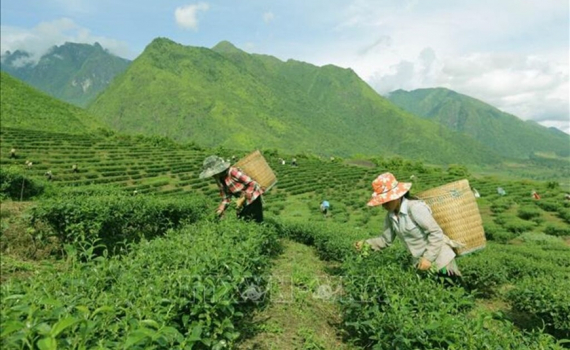Nghị quyết về một số cơ chế, ch&iacute;nh s&aacute;ch đặc th&ugrave; thực hiện c&aacute;c chương tr&igrave;nh mục ti&ecirc;u quốc gia