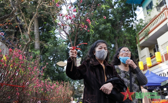 Thời tiết h&ocirc;m nay, mồng 1 Tết: Miền Bắc tăng nhiệt, hửng nắng