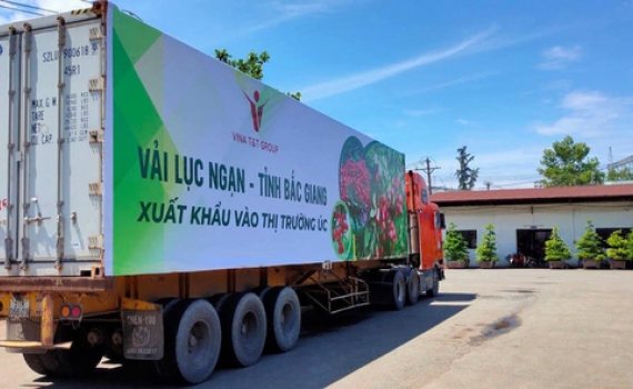 Tăng cường kết nối logistics th&uacute;c đẩy ti&ecirc;u thụ, xuất khẩu n&ocirc;ng l&acirc;m thủy sản