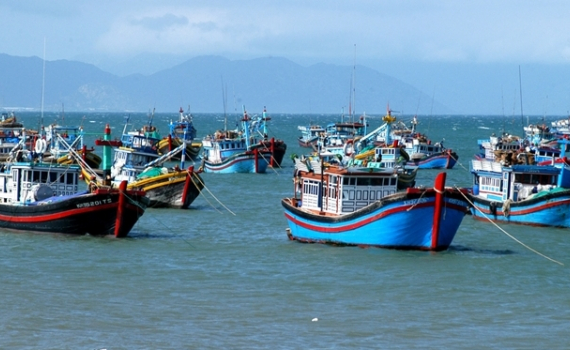Gỡ thẻ v&agrave;ng IUU: Phải triển khai nhanh phần mềm truy xuất nguồn gốc thủy sản