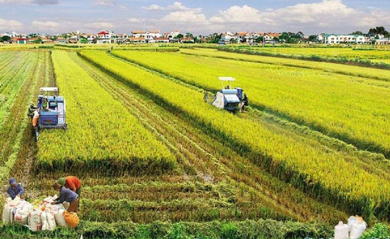 Luật Đất đai 2024: Điều kiện chuyển đổi quyền sử dụng đất n&ocirc;ng nghiệp