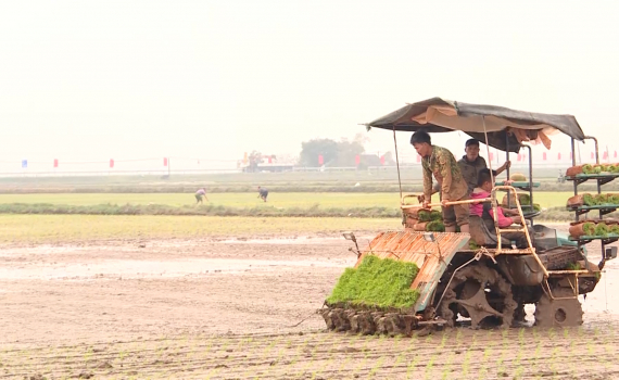 Y&ecirc;n Kh&aacute;nh phấn đấu gi&agrave;nh thắng lợi vụ đ&ocirc;ng xu&acirc;n