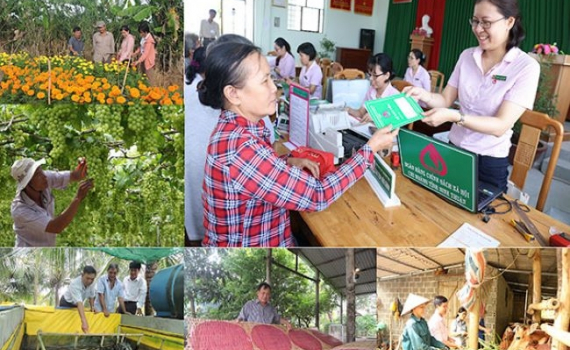 T&iacute;n dụng ch&iacute;nh s&aacute;ch g&oacute;p phần đảm bảo chất lượng an sinh x&atilde; hội