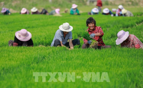 T&agrave;u chậm thay đổi cuộc sống n&ocirc;ng d&acirc;n Trung Quốc