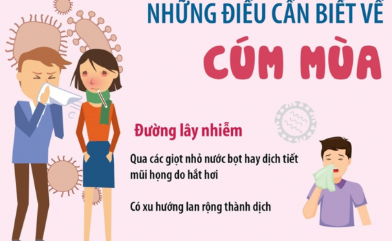 Những điều cần biết về c&uacute;m m&ugrave;a