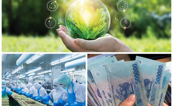 Chỉ đạo, điều h&agrave;nh của Ch&iacute;nh phủ, Thủ tướng Ch&iacute;nh phủ nổi bật tuần từ 15-21/2/2025