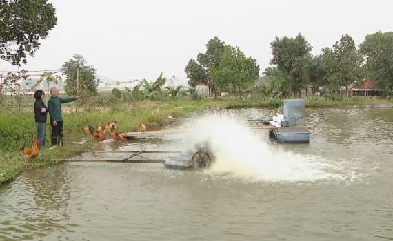 Hội N&ocirc;ng d&acirc;n huyện Gia Viễn hỗ trợ hội vi&ecirc;n ph&aacute;t triển kinh tế