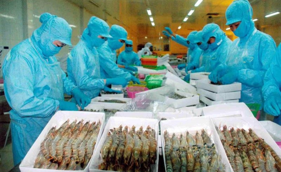 Xuất khẩu t&ocirc;m của Việt Nam bứt ph&aacute; mạnh mẽ