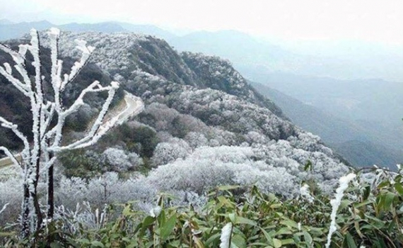 Từ chiều 7/2, miền Bắc chuyển r&eacute;t đậm, r&eacute;t hại