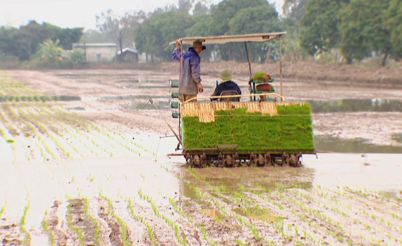 N&ocirc;ng d&acirc;n Y&ecirc;n Kh&aacute;nh xuống đồng đầu xu&acirc;n