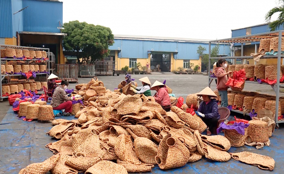 Kh&iacute; thế sản xuất h&agrave;ng c&oacute;i ở Kim Sơn