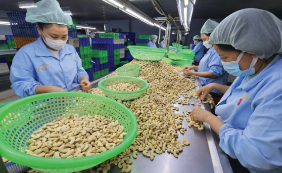Doanh nghiệp muốn được tập huấn về ch&iacute;nh s&aacute;ch xanh của EU
