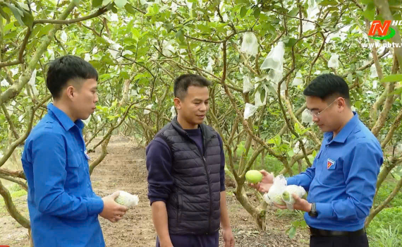 Thanh ni&ecirc;n Y&ecirc;n Kh&aacute;nh l&agrave;m gi&agrave;u tr&ecirc;n qu&ecirc; hương