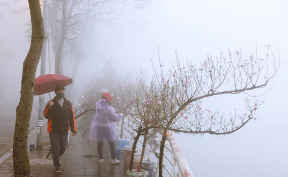 Thời tiết h&ocirc;m nay (5-2): Bắc Bộ c&oacute; sương m&ugrave;, đ&ecirc;m v&agrave; s&aacute;ng trời r&eacute;t