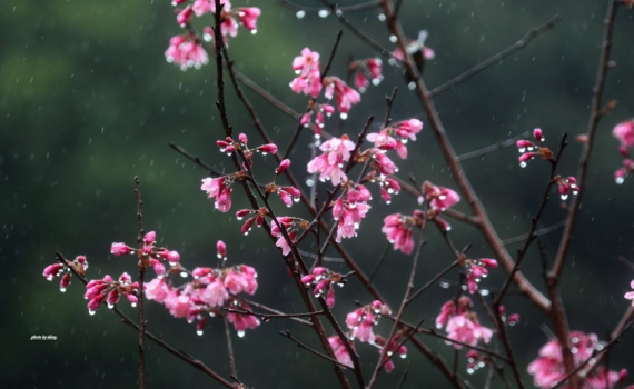 Thời tiết h&ocirc;m nay (20-2): Nhiều nơi c&oacute; mưa, trời r&eacute;t