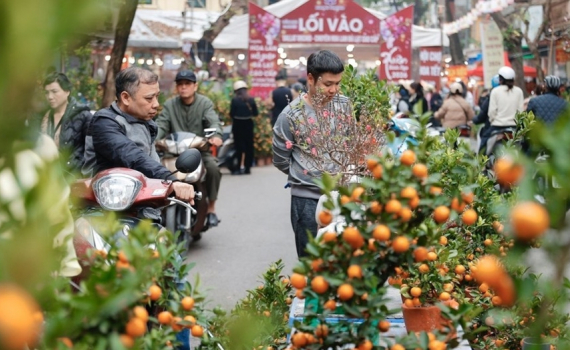 Thời tiết h&ocirc;m nay (15-2): Miền Bắc s&aacute;ng c&oacute; sương m&ugrave;, trưa chiều trời nắng