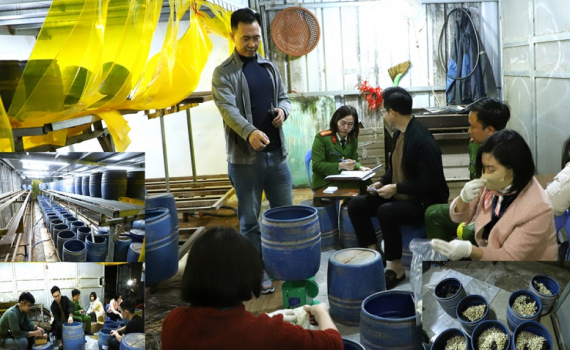 Khởi tố, bắt tạm giam đối tượng sản xuất gần 2,8 tấn gi&aacute; đỗ bằng chất cấm