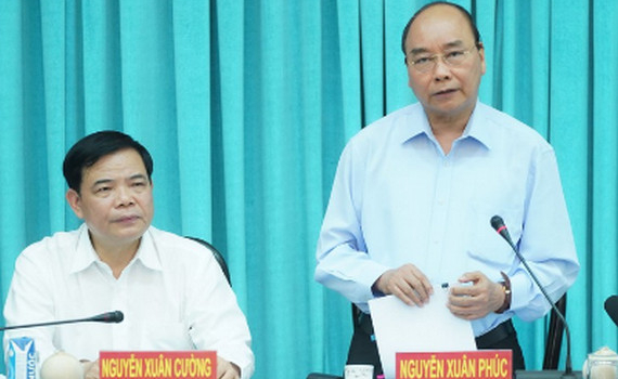 Thủ tướng: Cần ph&aacute;t huy &ldquo;vaccine c&oacute; sẵn&rdquo; để vượt qua kh&oacute; khăn