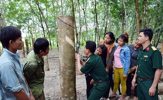 ​​C&aacute;c trường hợp đất quốc ph&ograve;ng kết hợp x&acirc;y dựng kinh tế kh&ocirc;ng phải nộp tiền sử dụng đất