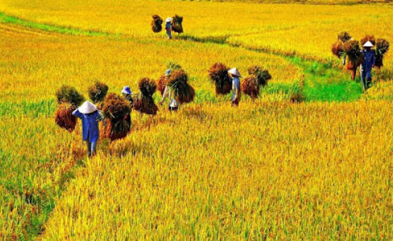 Chủ động, linh hoạt trong điều h&agrave;nh 