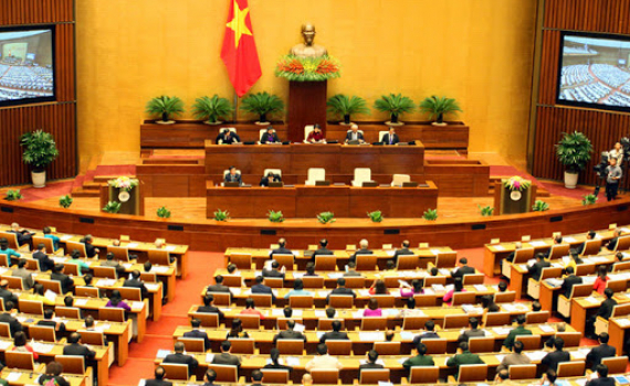 Đại biểu Quốc hội chuy&ecirc;n tr&aacute;ch phải l&agrave; những chuy&ecirc;n gia thật giỏi