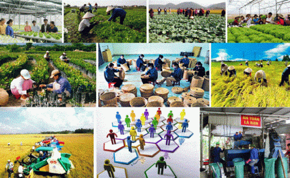 Ph&aacute;t triển kinh tế tập thể năng động, hiệu quả