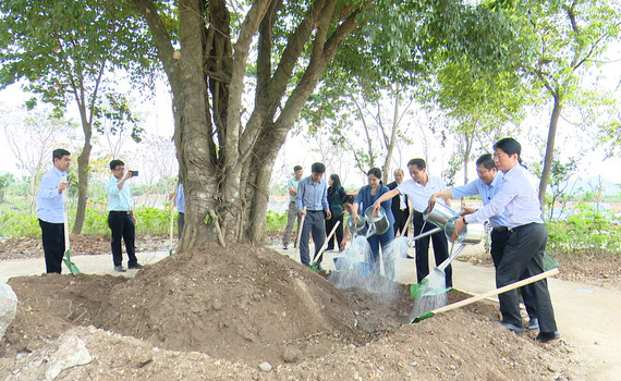 Sở NN&PTNT hưởng ứng chương tr&igrave;nh trồng 1 tỷ c&acirc;y xanh