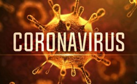 Việt Nam đang đi đầu ASEAN về giải tr&igrave;nh tự gene