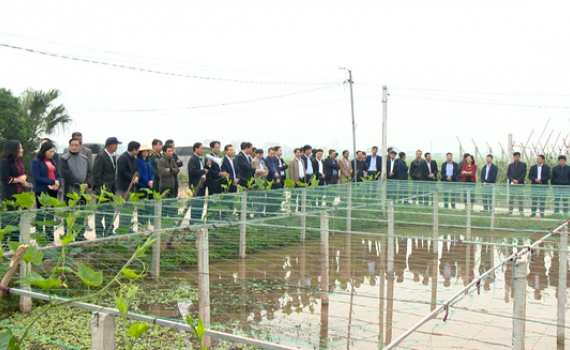 Y&ecirc;n Kh&aacute;nh đ&aacute;nh gi&aacute; c&aacute;c m&ocirc; h&igrave;nh sản xuất n&ocirc;ng nghiệp