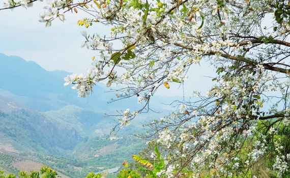 Thời tiết ng&agrave;y 9-3: Bắc Bộ c&oacute; sương m&ugrave;, trưa chiều hửng nắng